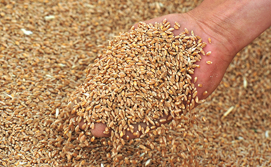 Подконтрольная государству компания начала поставки зерна в Сирию