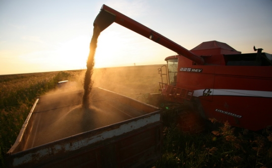 На Кубани побит рекорд 2014г. по урожаю зерна