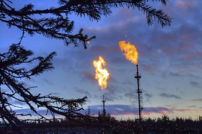 «Новатэк» и «Газпром нефть» вступают в борьбу за участки недр на Ямале
