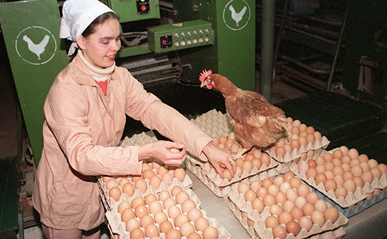 Таиландская CP Foods объявила о покупке птицефабрики "Северная"